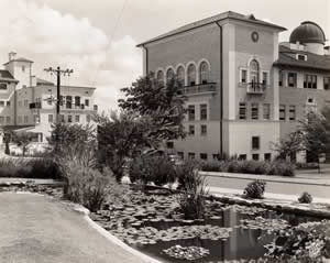 Photograph of lily pond on University of Texas campus