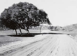 Photograph of dirt road known as Shoal Creek Boulevard